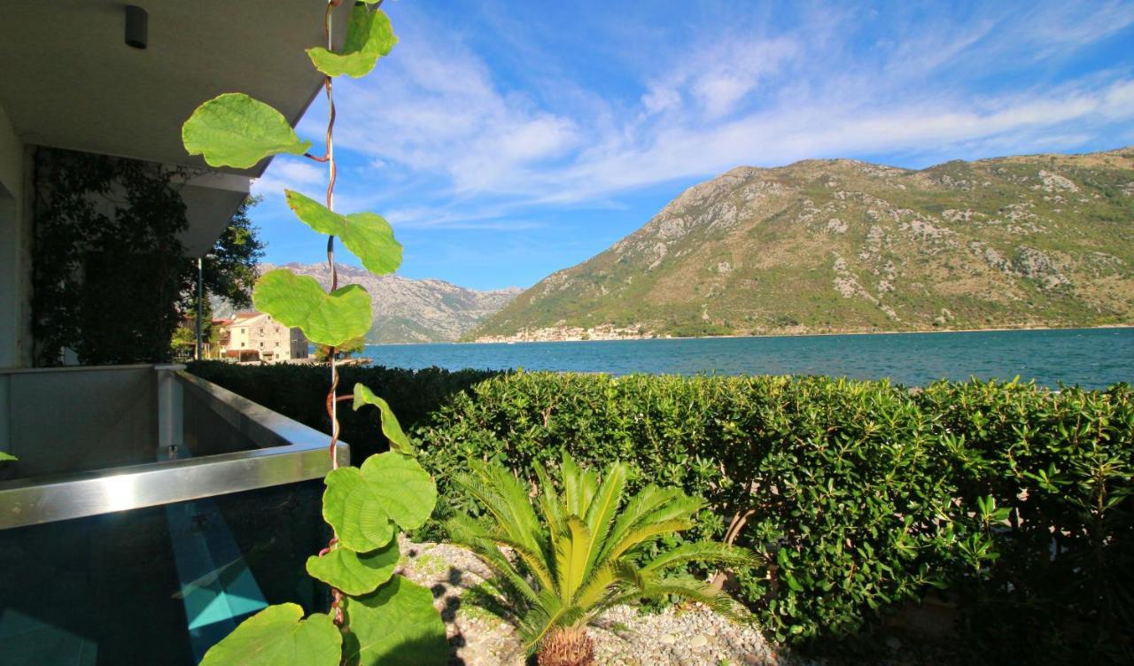 Apartment Miramare Kotor Exterior photo